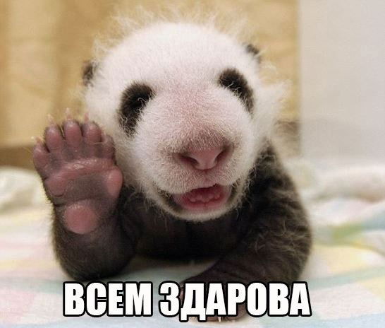 Дмитрий Бобков