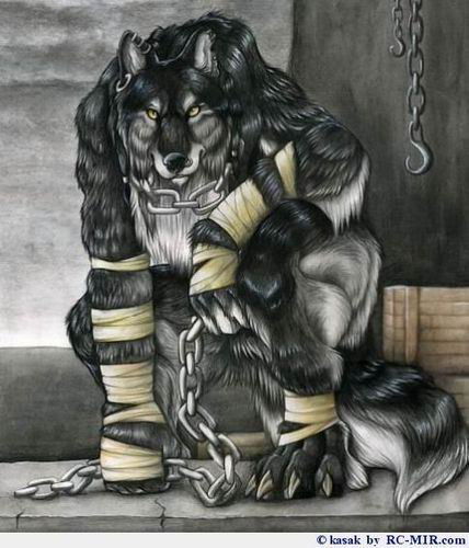 Волк Одинокий