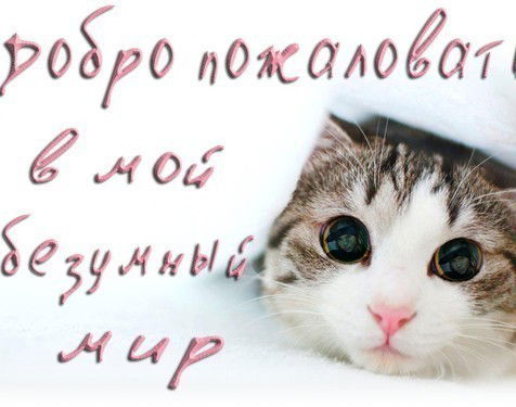 Владимир Тыщенко