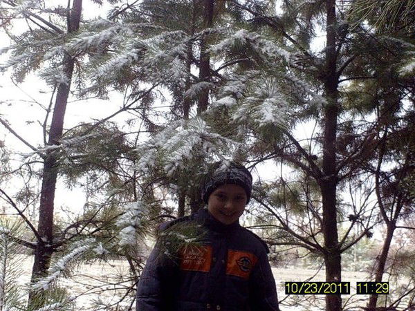 Пётр Тарасенко