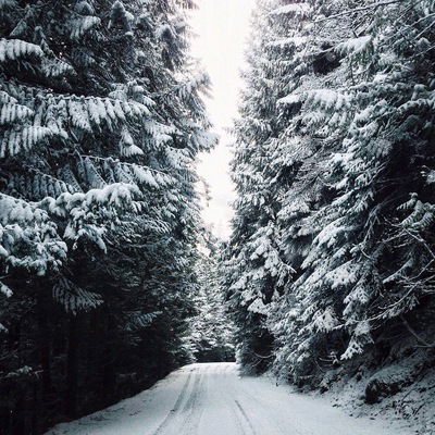 Полина Горюнова