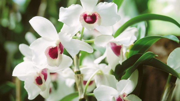 Людмила Машкова