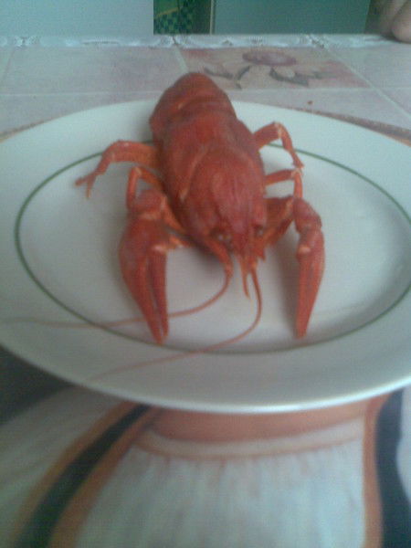 Сергей Сапожников