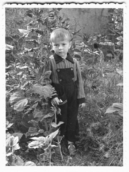 Николай Л. Вигура