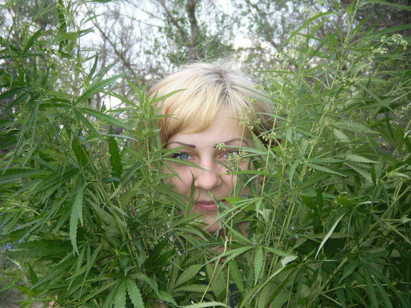 Елена Боженко