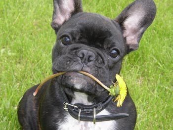 ---------- -----------