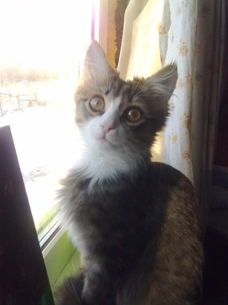 Александра Кощеева