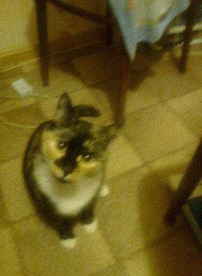 Кирилл Рябцев