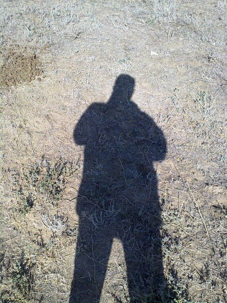 Дмитрий Курашенко