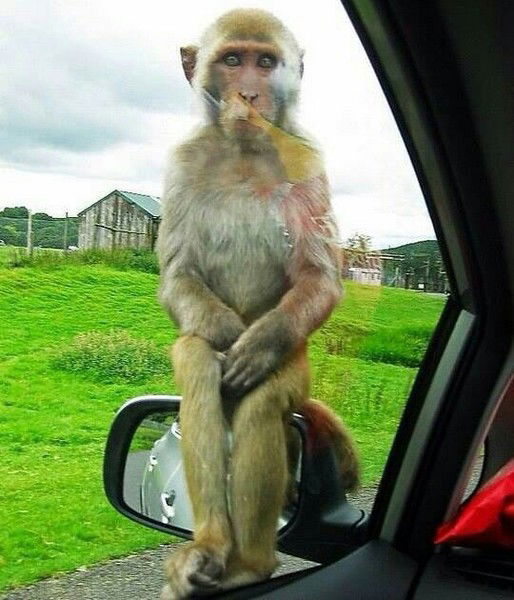 Татьяна Аносова