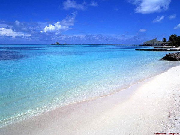 Алла Ремезова