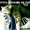 Алексей Мурысин