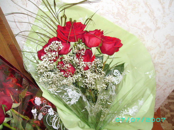 Алла Назарова