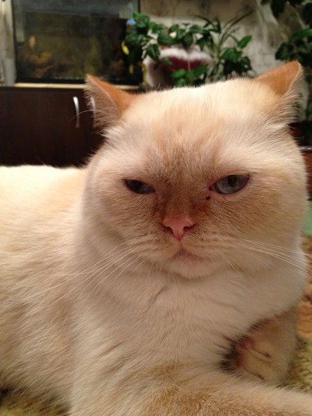 Наталья Врублевская