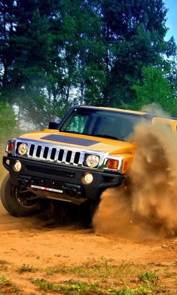 Серёга Шеховцов