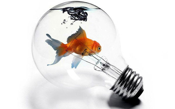 Дмитрий Дмитрий