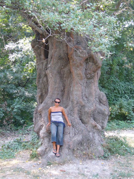 Ангелина Серекова