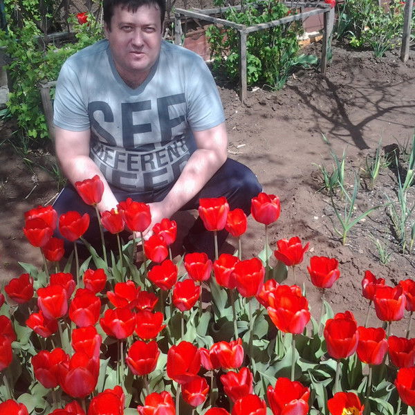 Николя Клон