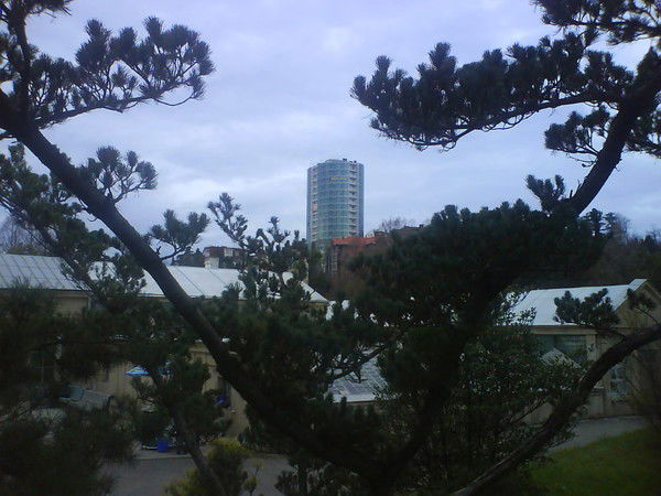 Сергей Крячко