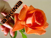 Ардак Кузембаева