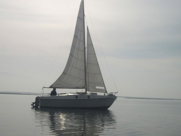 Вячеслав Александров