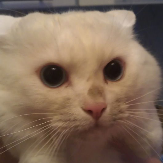 Юрий Трусов