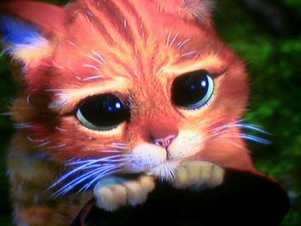 Влад Юрукин