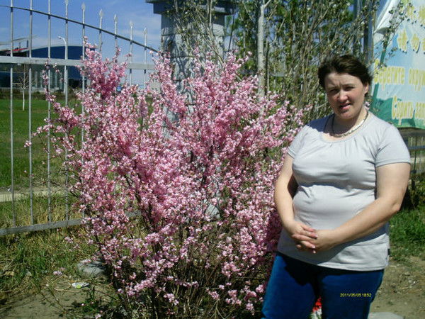 Светлана Свинина