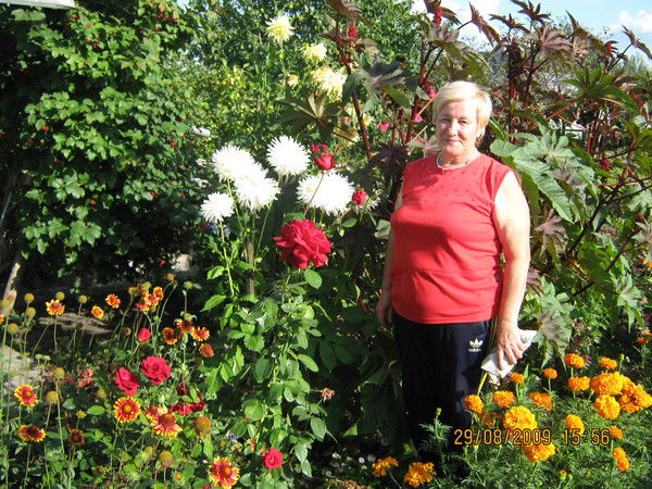 Надежда Расташанская