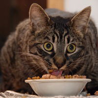 Саня Сергеев