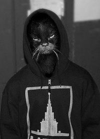 Владислав Шпицберг