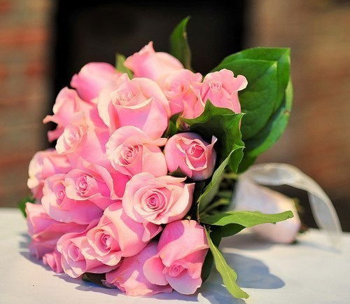 Ольга Аминова