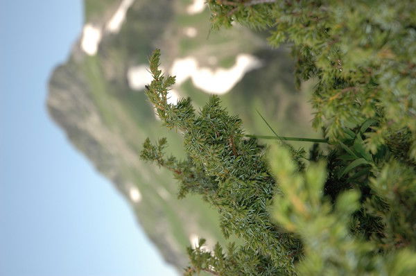 Капитон Капитонов