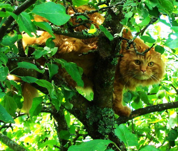 Загарова Екатерина