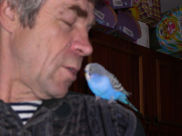 Владимир Михеев