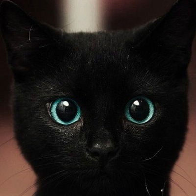 Костя Рыбалкин