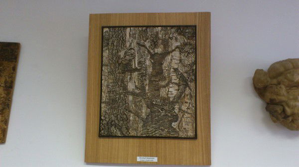 Резван Исаев