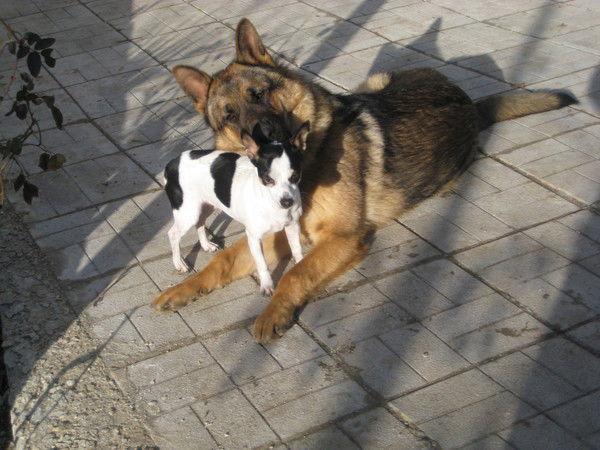 Лена Должикова