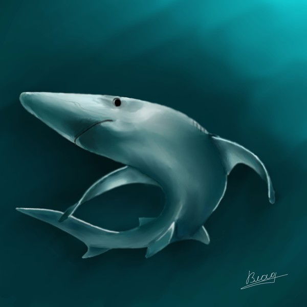 Владислав Коробов