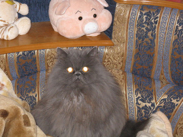 Виктор Маневич