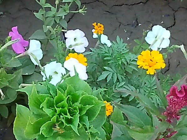 Barchinoy Atadjanova