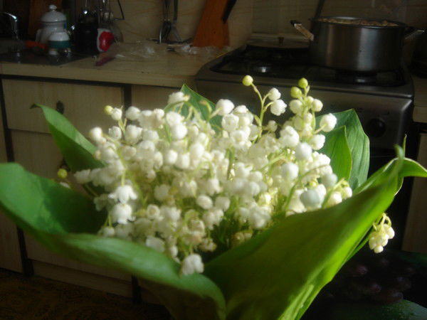 Кос Ннц "иэквм"