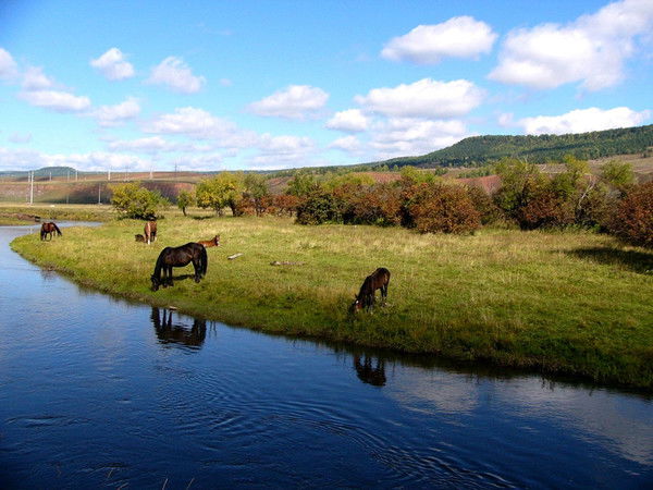Алла Башеева