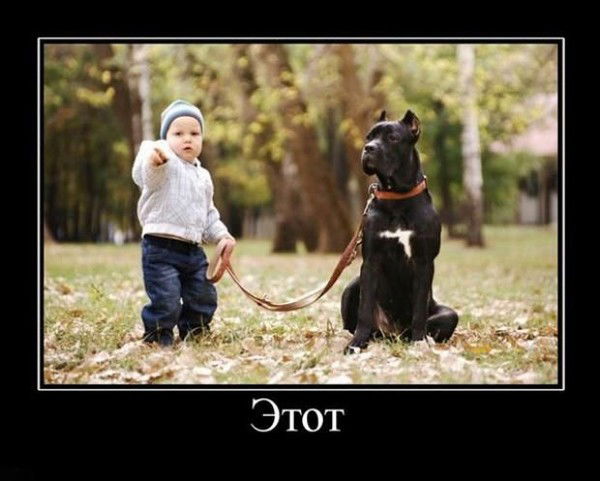 Про100*султан _____