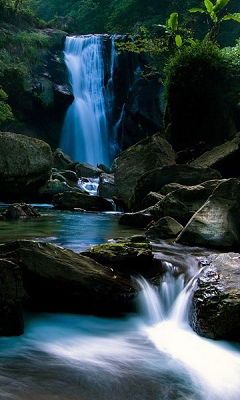 Андрей Савин