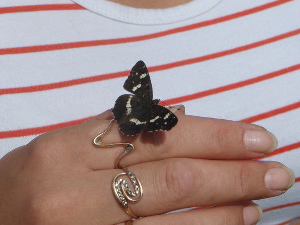 Татьяна Костина