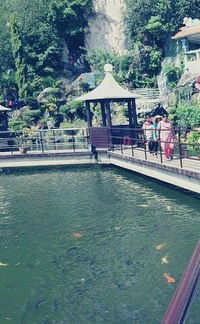 Мария Кленова