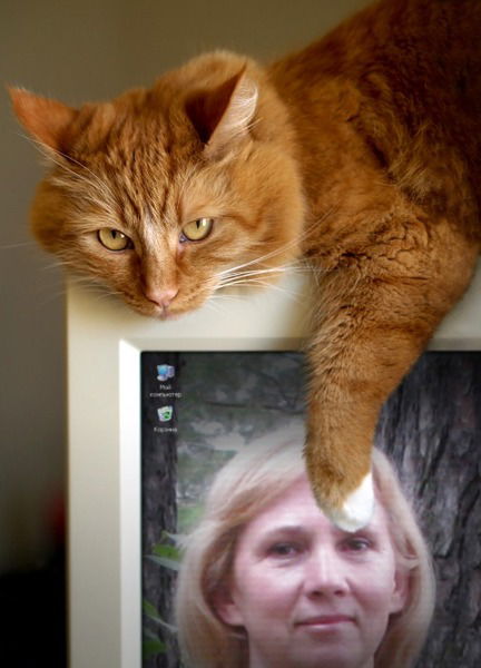 Татьяна Кузина