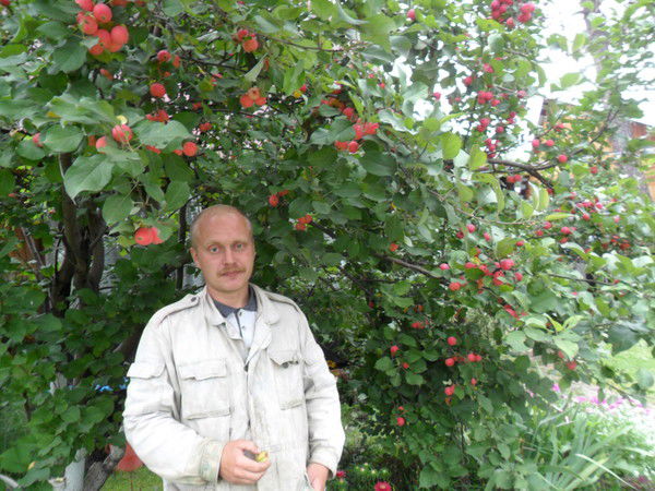 Николай Новиков