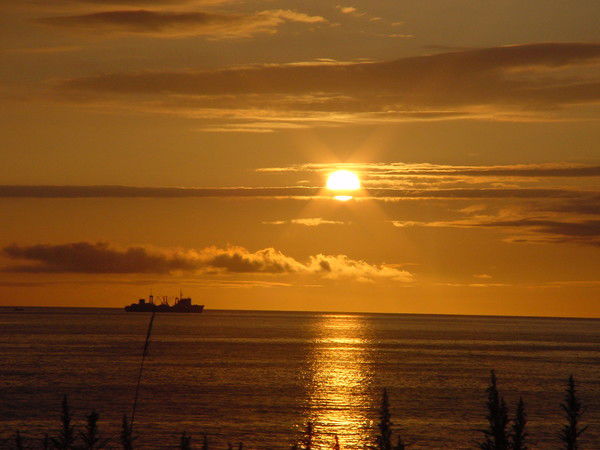 Евгений Холодцов